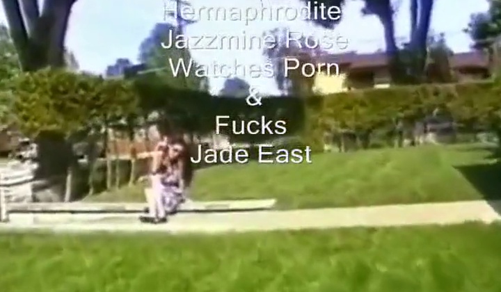 Hermaphrodite TS Solo Play